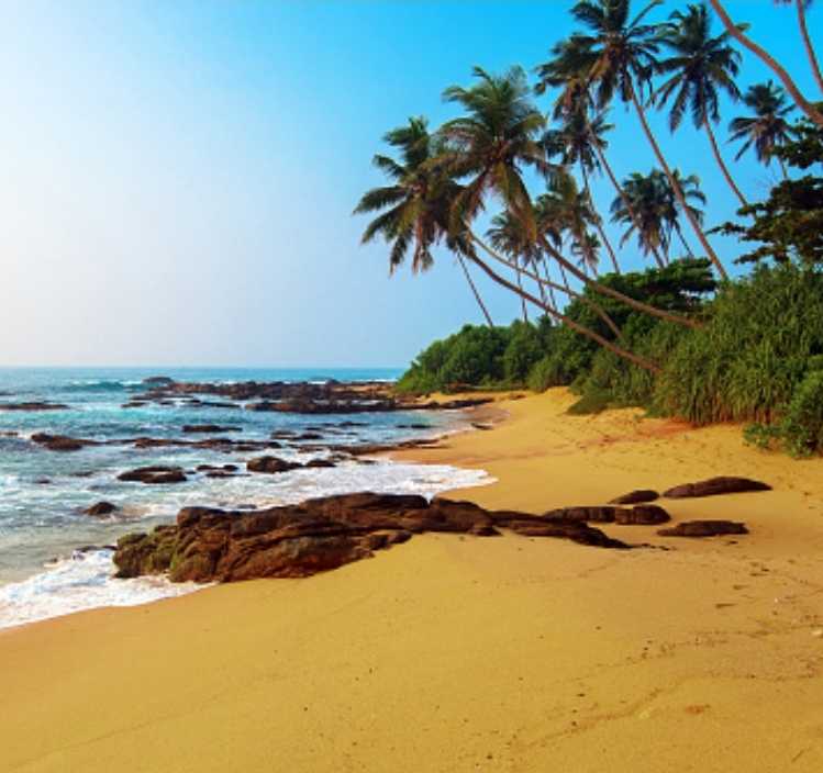 Specialities of Puducherry